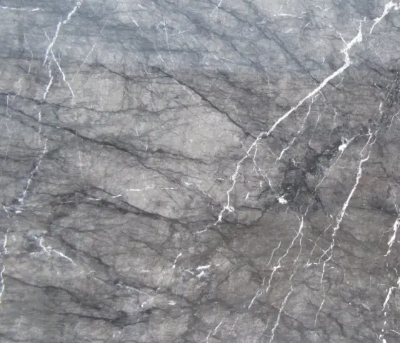 Мармур — Мармур Grigio Carnico 20 мм (полір.)