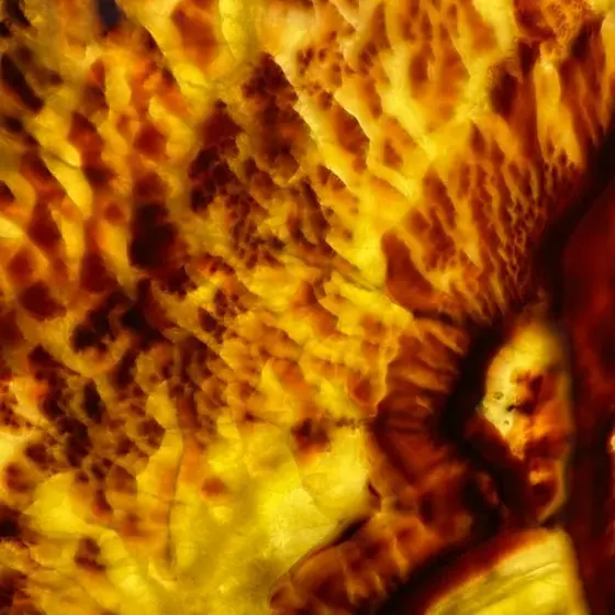 Онікс — Онікс Onix Lava 20 мм (полір.)