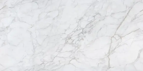 Avant — 5754 Calacatta Viviez