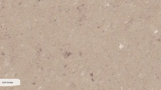 Caesarstone — 4230 Shitake