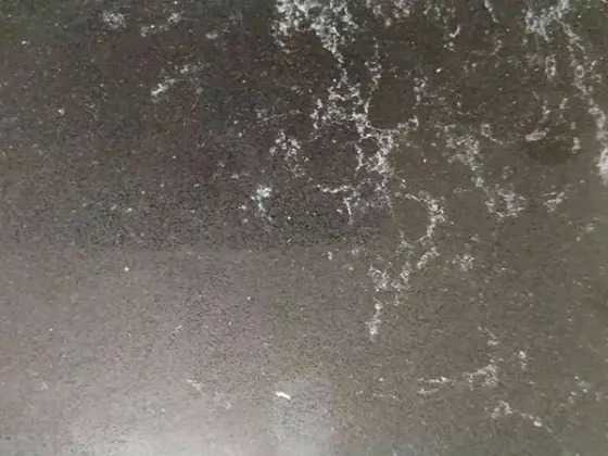 Reston Quartz — Кварцит 1028 1