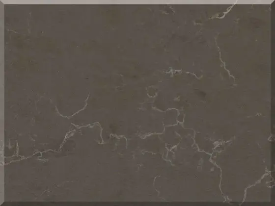 Vicostone — Cinza BQ8808