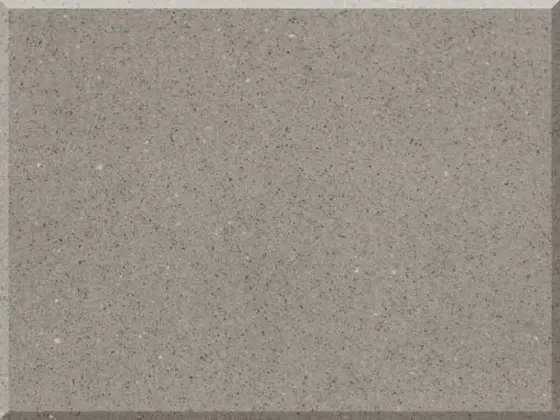Vicostone — Twilight Grey BS250