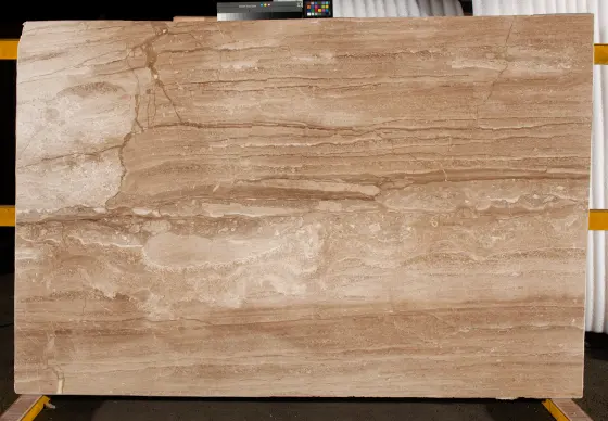 Scalla Naturale — Daino Reale 3cm
