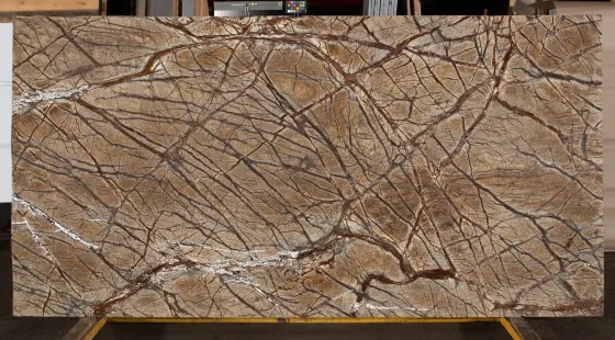 Scalla Naturale — Rainforest Brown Polished