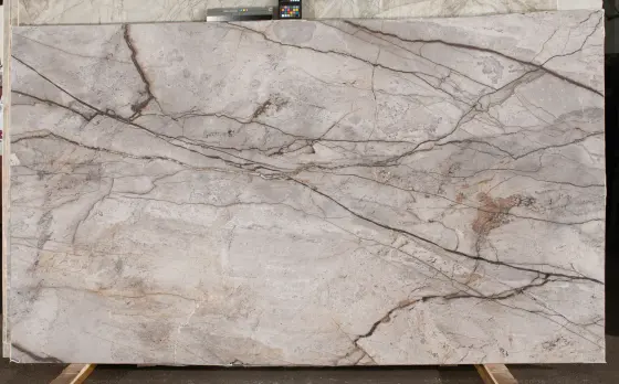 Scalla Naturale — Silver Root